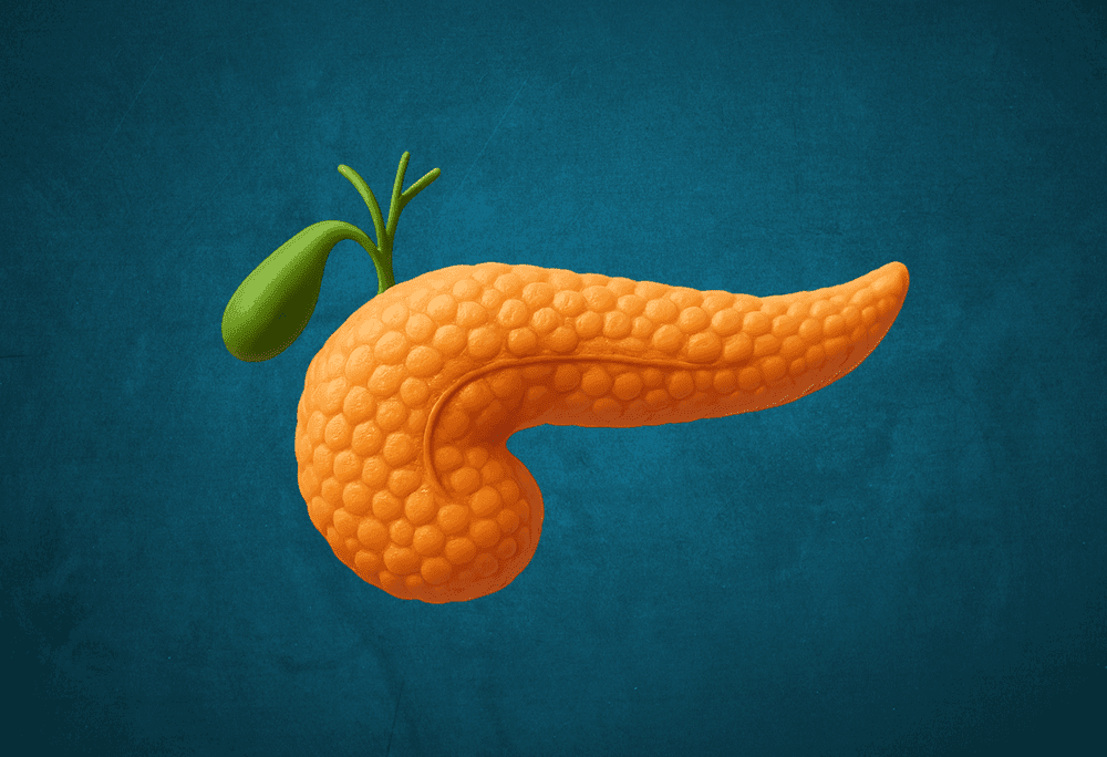Human pancreas immersive learning experience thumbnail