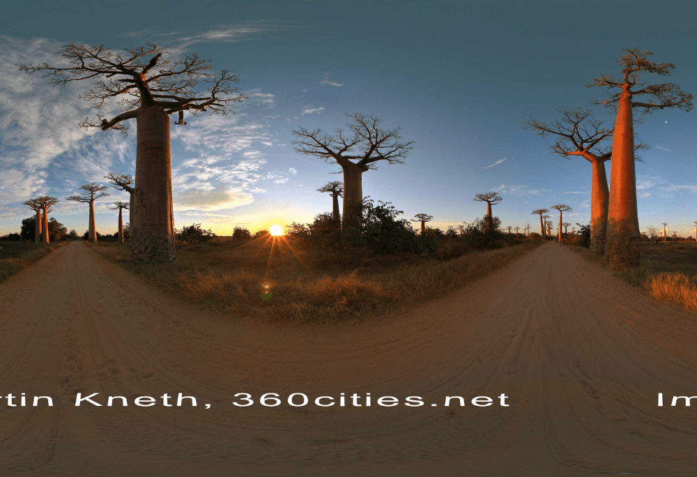 Madagascar immersive learning experience thumbnail